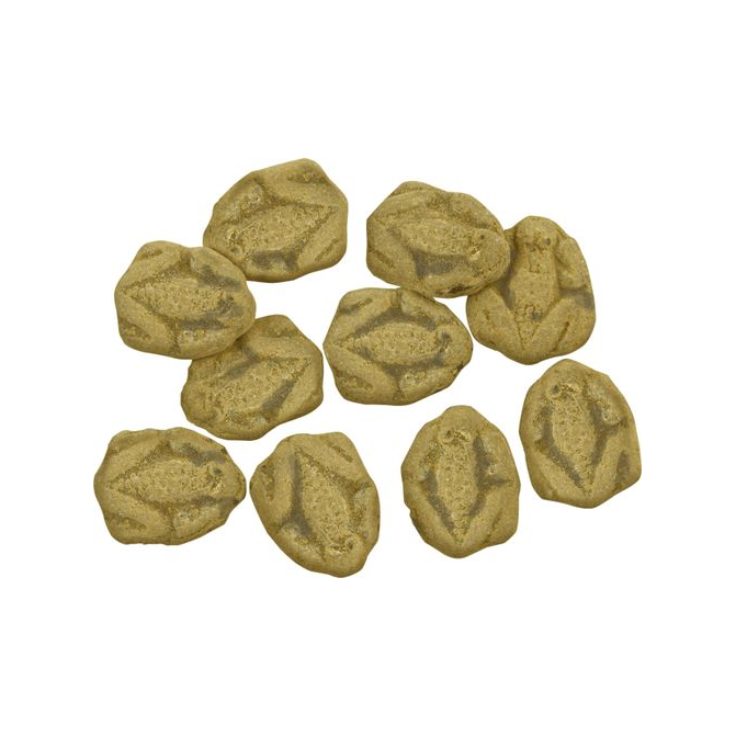 Kontakta Salta Grodor โ salty, frog-shaped Swedish candy with a bold and savory flavor.