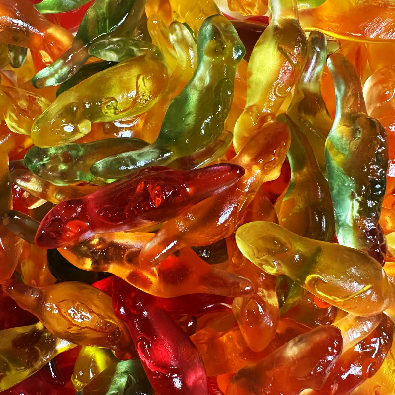 Giant Jelly Rats